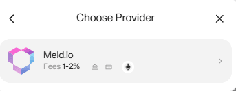 Payment provider